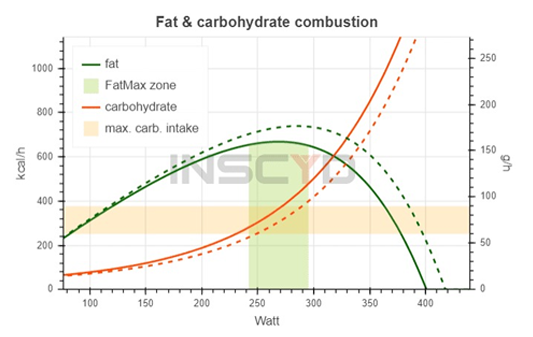 VO2Max Testing
